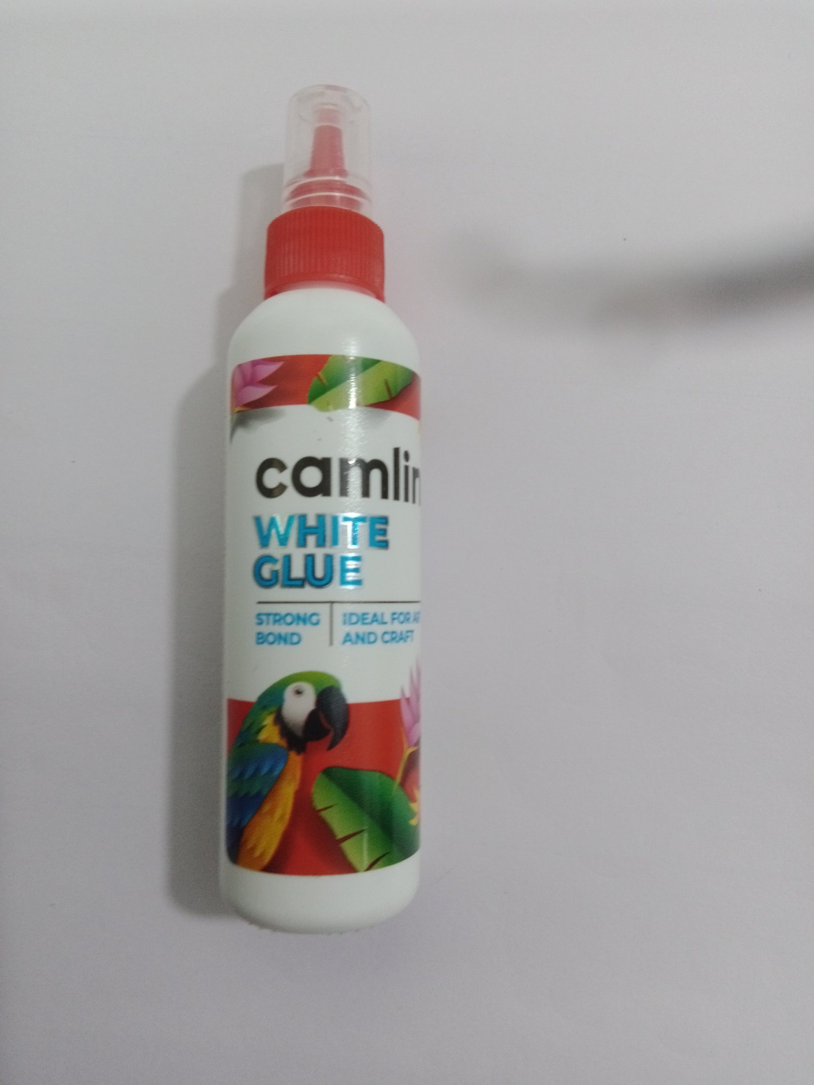 Camlin