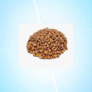 MATKI 500 GRM