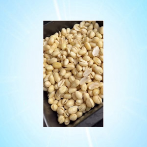 PEANUT 1 KG