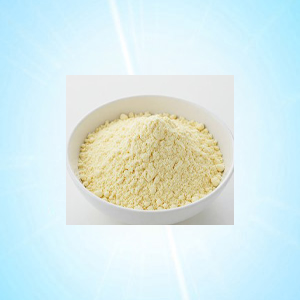 BESAN 500 GRM