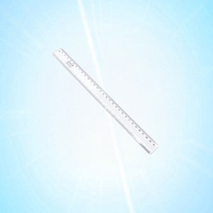 30cms scale