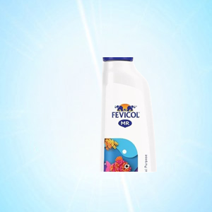 Fevicol MR
