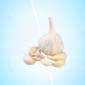 GARLIC